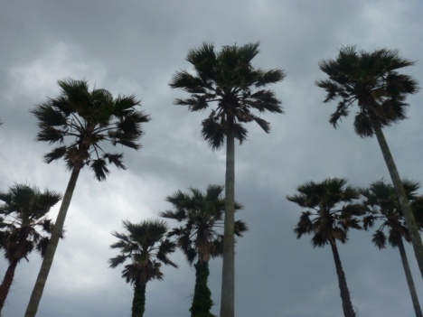 画像(468x351)・拡大画像(640x480)