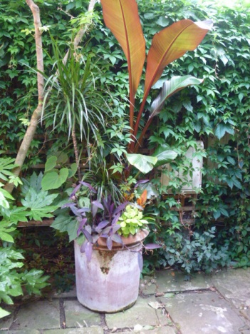 �摜(351x468)�E�g��摜(480x640)