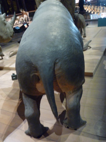 画像(351x468)・拡大画像(480x640)