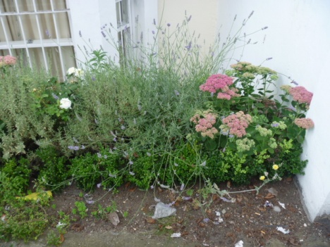 �摜(468x351)�E�g��摜(640x480)