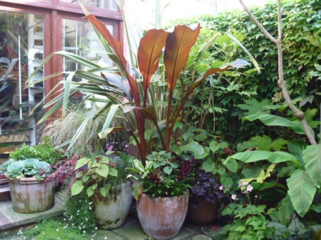 �摜(468x351)�E�g��摜(640x480)