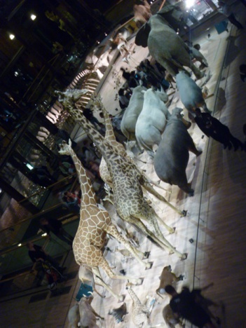 画像(351x468)・拡大画像(480x640)