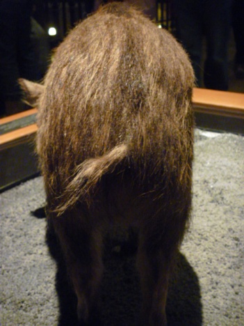 画像(351x468)・拡大画像(480x640)