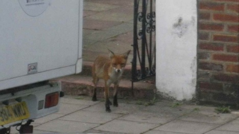 �摜(468x263)�E�g��摜(640x360)