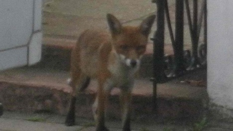 �摜(468x263)�E�g��摜(640x360)