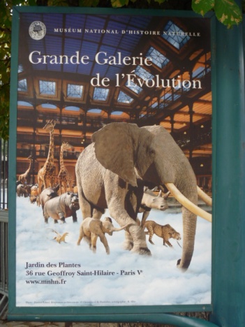 画像(351x468)・拡大画像(480x640)