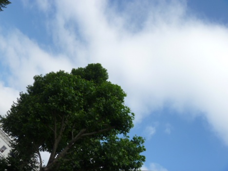 �摜(468x351)�E�g��摜(640x480)