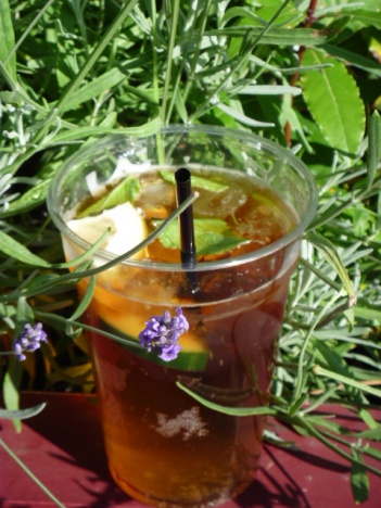 �摜(351x468)�E�g��摜(480x640)