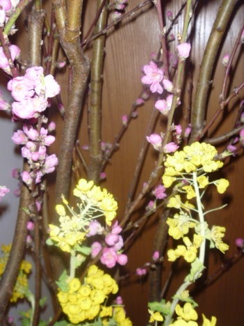 �摜(351x468)�E�g��摜(480x640)