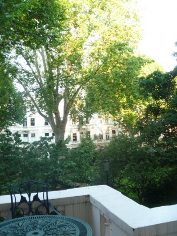 画像(351x468)・拡大画像(480x640)