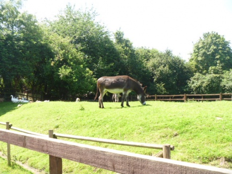 画像(468x351)・拡大画像(640x480)