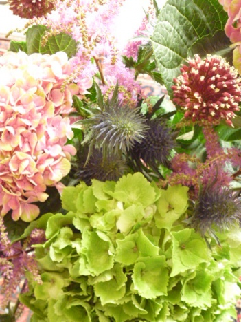 �摜(351x468)�E�g��摜(480x640)