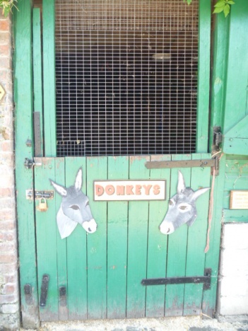 画像(351x468)・拡大画像(480x640)