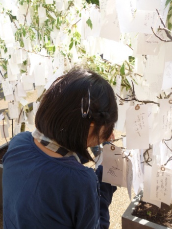 �摜(351x468)�E�g��摜(480x640)