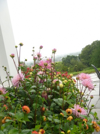 画像(351x468)・拡大画像(480x640)