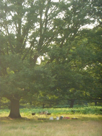 �摜(351x468)�E�g��摜(480x640)